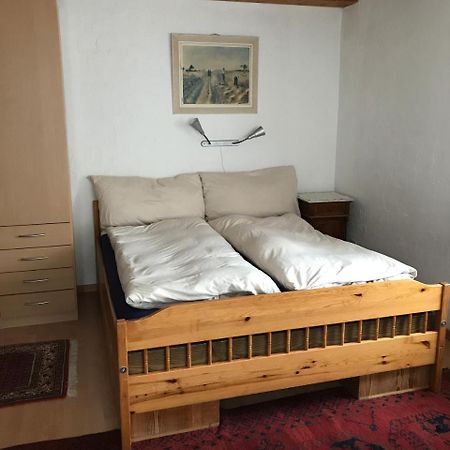 Renania Apartment Davos Bagian luar foto