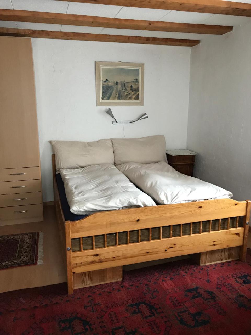 Renania Apartment Davos Bagian luar foto